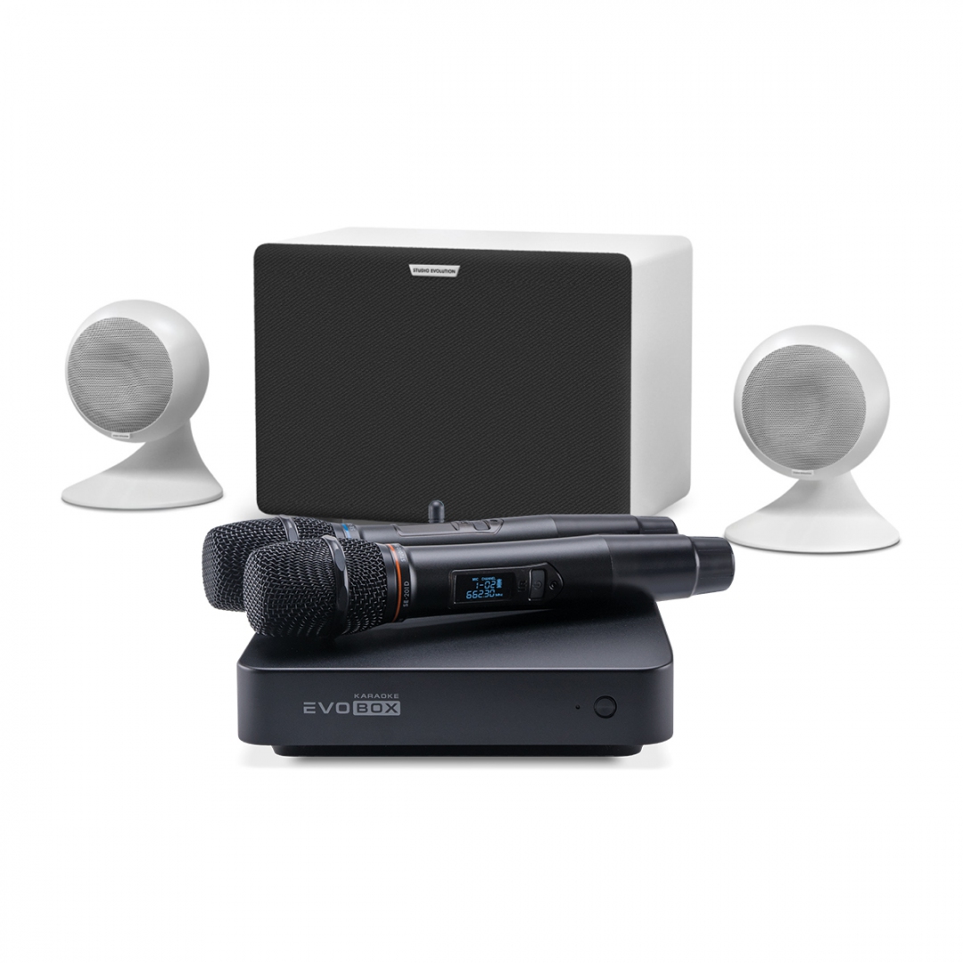 караоке-комплект EVOBOX Classic + EvoSound Sphere 2.1 в Новочебоксарске